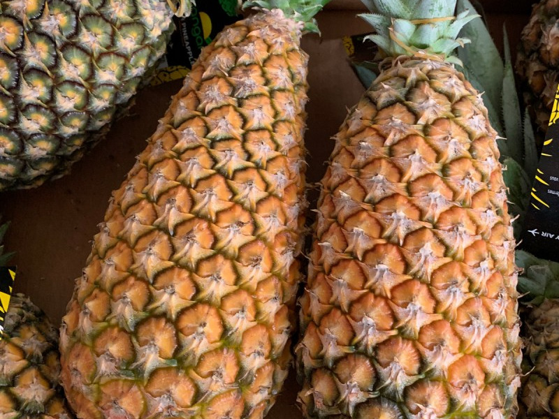 Ananas Pain de sucre du Bénin
