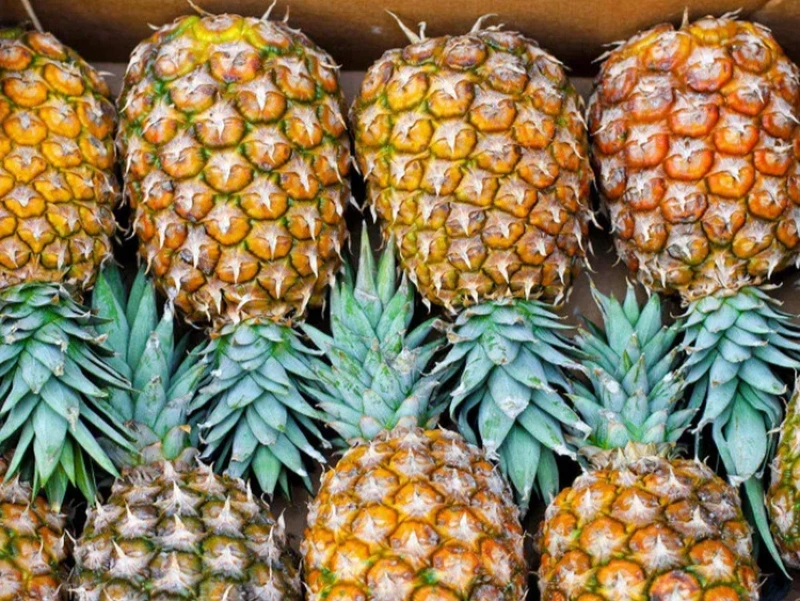 Ananas MD2 (Extra Sweet)