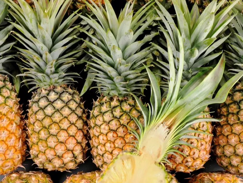 Ananas Cayenne lisse