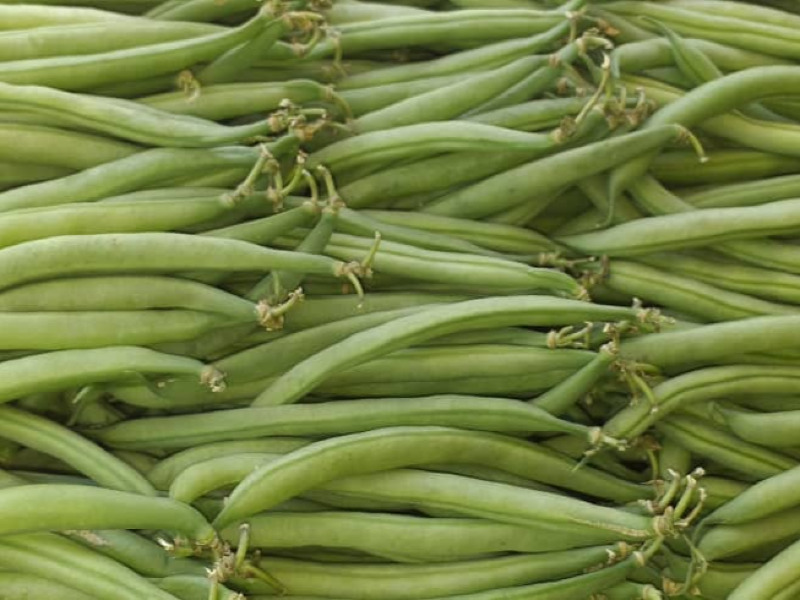Haricots verts extra-fins